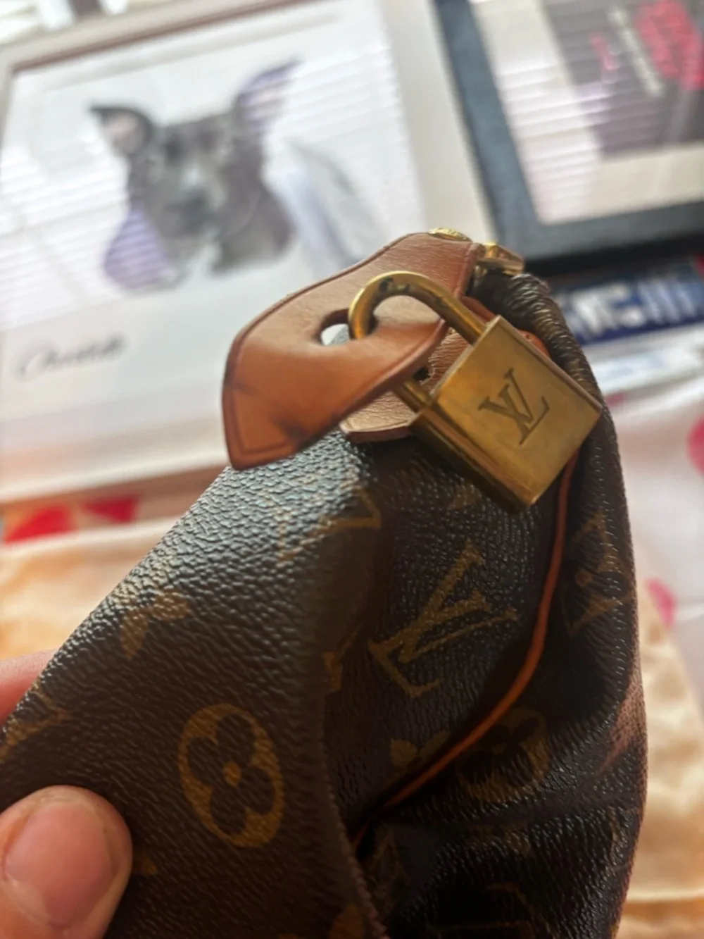 Louis Vuitton Brown Monogram Canvas Speedy 25 with Tan Leather Trim - Picture 8 of 12